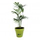 Arbre publicitaire en pot bambou 10cm personnalisé