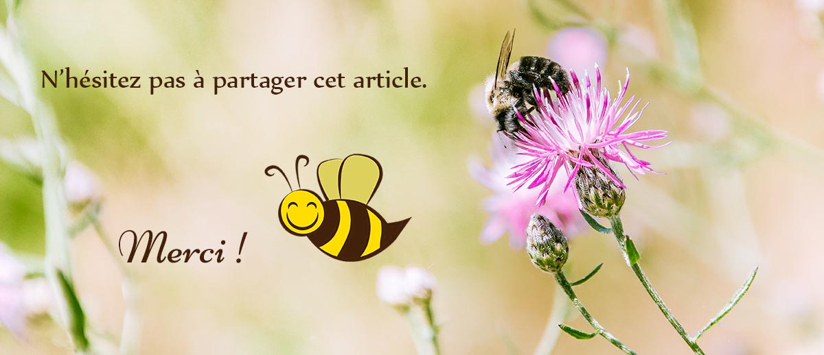 semer fleurs sauvages abeilles